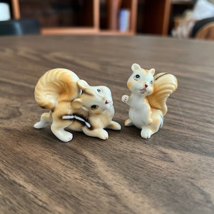 May include: Two small porcelain squirrel figurines. One squirrel is brown and white with a bushy tail. The other squirrel is white with a brown tail and is standing on its hind legs.