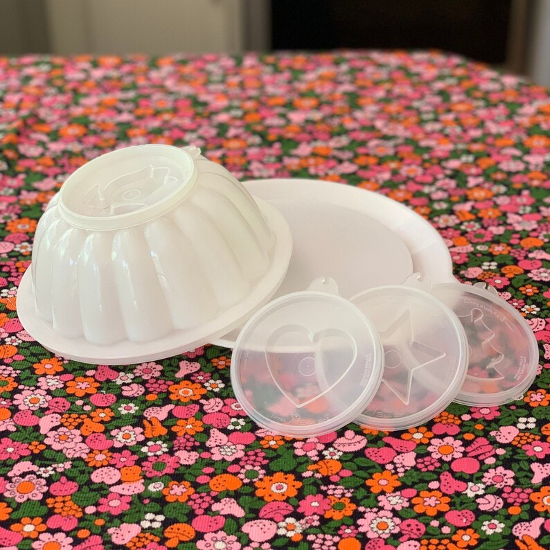 6 pièces Tupperware Jello Jel-n-Serve moule rond 616 avec 4 inserts et