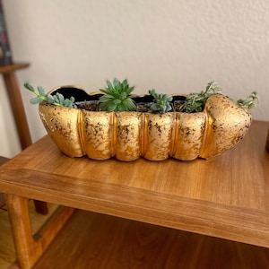 May include: Gold ceramic planter with a textured surface, shaped like a long pod, with four small succulents planted inside.