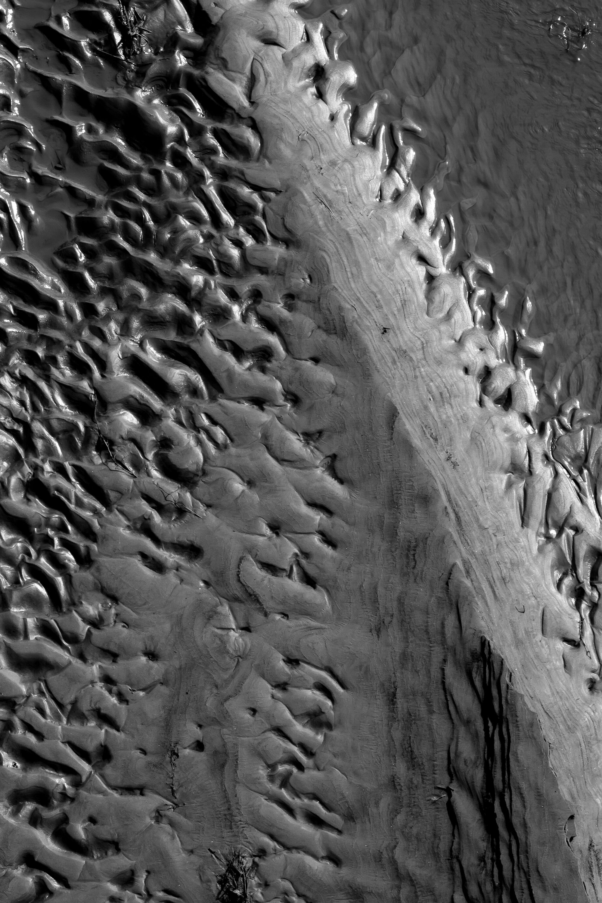 Organic Abstract Print Black and White Prints Wall Art Etsy