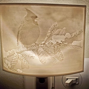 Custom Nightlights
