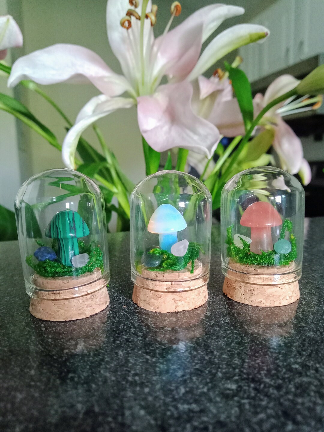 Crystal Mushroom Terrariums Mini Terrarium Mushroom Etsy