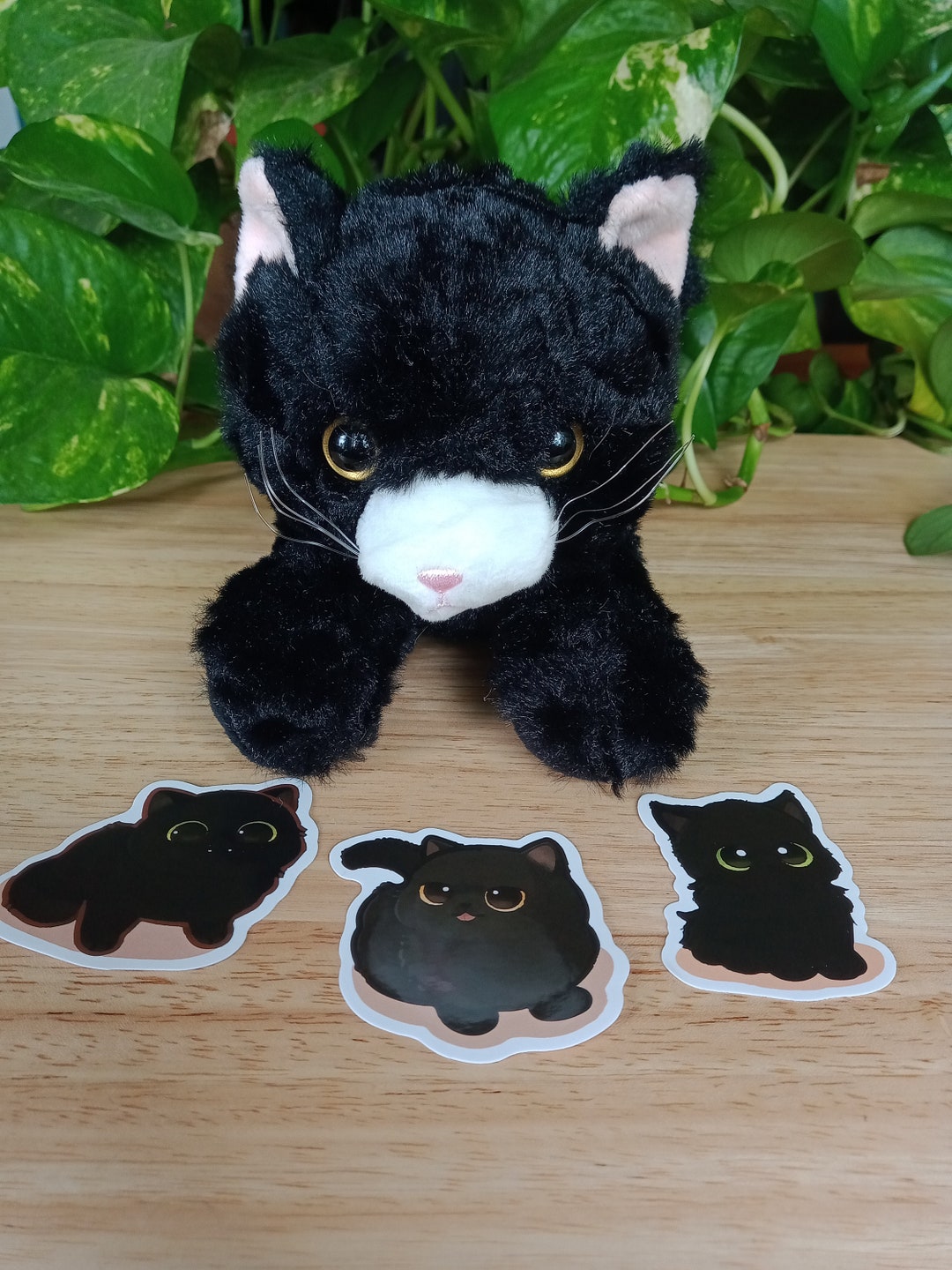 Adopt a Cat Mystery Box Adopt a Cat Plushie Adopt a Resin Cat Cat Picks