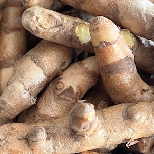 Mango Ginger (Curcuma amada/ Mamidi Allam/Maṅkay inci/ Mavina suṇṭhi/zanjabil almanju/mango imbir/Ama Ada) various options