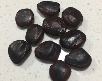 Tamarind / Tamarindo/ Imli/ Chintha/ Puli seeds - Various options