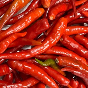 May include: A close-up image of a pile of red chili peppers. The peppers are all bright red and have a glossy finish. Some of the peppers are slightly curved, while others are straight.