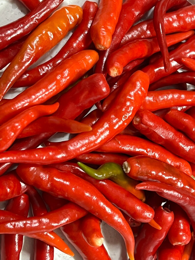 May include: A close-up image of a pile of red chili peppers. The peppers are all bright red and have a glossy finish. Some of the peppers are slightly curved, while others are straight.