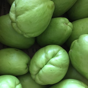 Chayote Squash(vegetable pear/Chow-Chow/Seeme Badinekai/Seema Vankaya/mirliton/güisquil/pimpinela/choko) - options