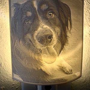 YOUR PET! Lithopane Night Light - Customize With Your Photo!