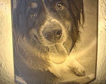 YOUR PET! Lithopane Night Light - Customize With Your Photo!