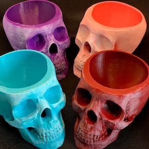 Colorful Skull Succulent Planters, Hand Sculpted and Painted!