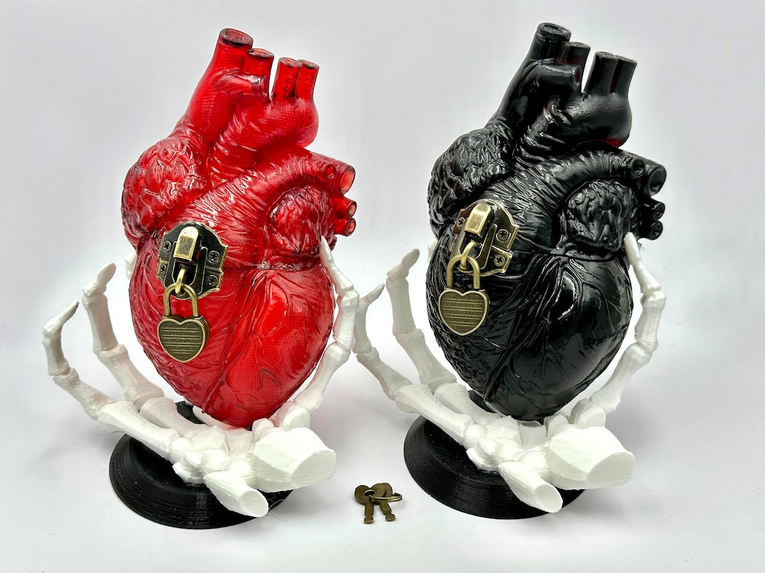 Realistic Heart-shaped Box! 2 Styles! Anatomical Heart! - Etsy