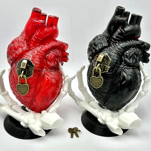 Realistic Heart-Shaped Box! 2 Styles! Anatomical Heart!