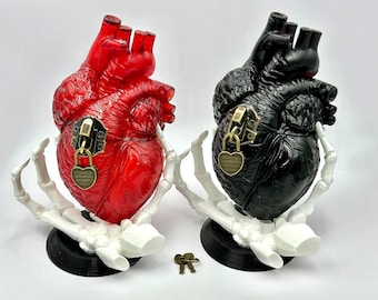 Realistic Heart-Shaped Box! 2 Styles! Anatomical Heart!