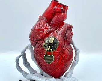 Realistic Heart-Shaped Box! 2 Styles! Anatomical Heart!