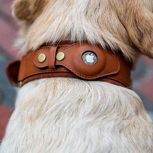 Apple AirTag Dog Collar by Nine Twenty Eight™ Leather, Faux leather and Premium Collar Options Available for Dog & Cats