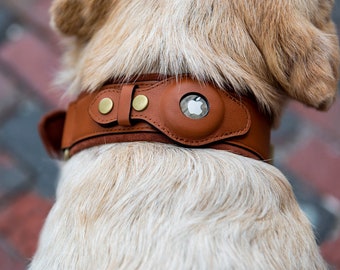 Apple AirTag Dog Collar by Nine Twenty Eight™ Leather, Faux leather and Premium Collar Options Available for Dog & Cats