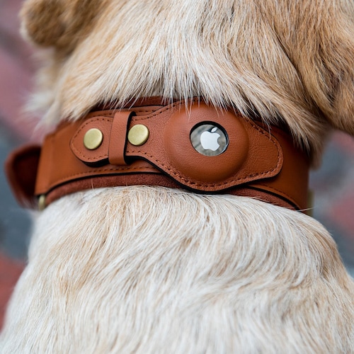 Keepaws™ Leather Airtag Collar Personalizable Dog Leather Etsy