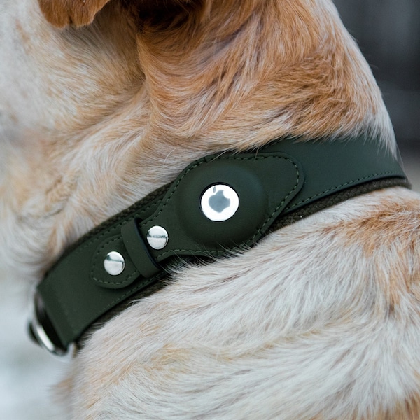 Faux Leather Apple AirTag Dog Collar by Nine Twenty Eight™ Leather, Faux leather and Premium Collar Option Available for Pets