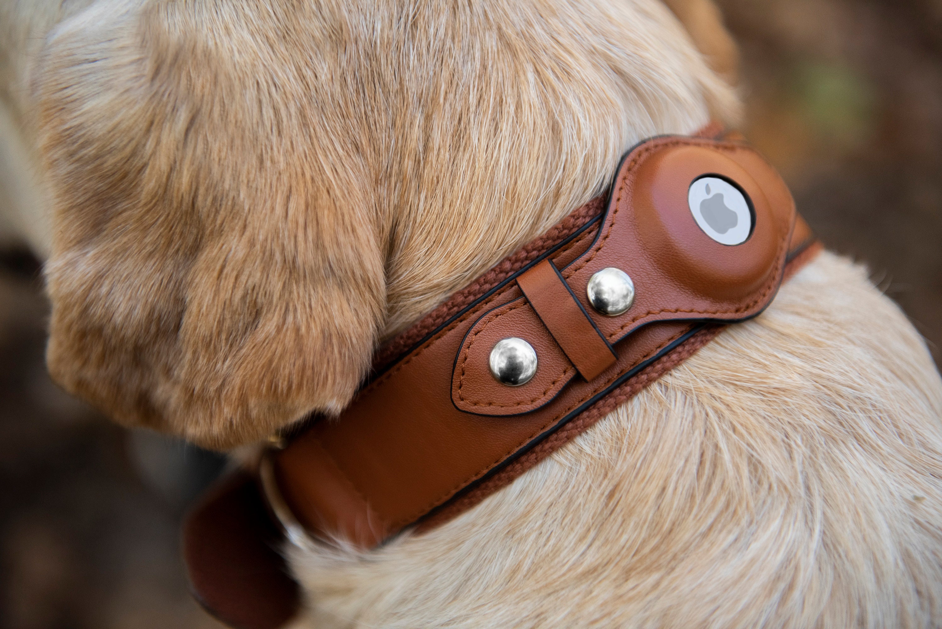 Collar de cuero auténtico para perro Airtag, accesorio para mascotas de  alta resistencia con soporte para Airtag - AliExpress