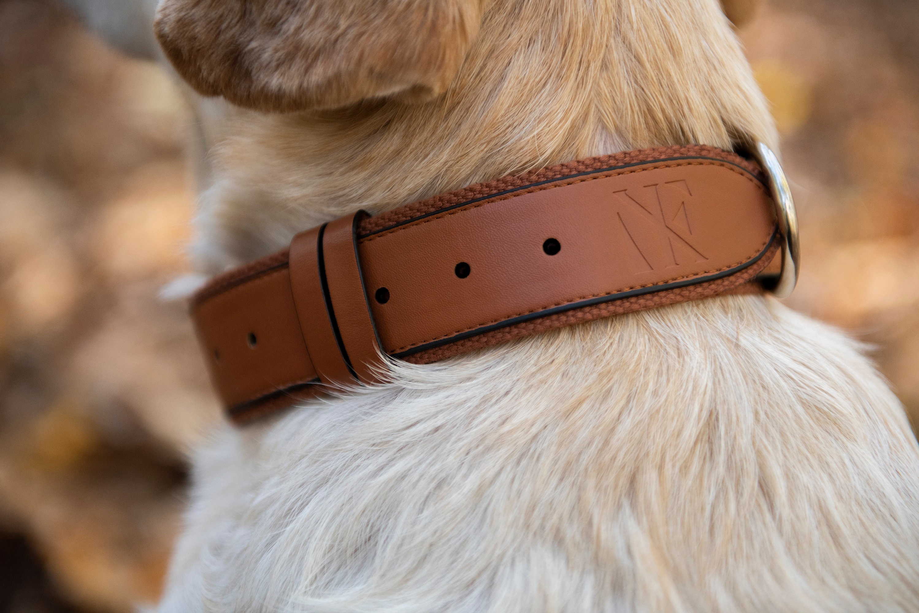 Collar de cuero para perros Air Collar con soporte AirTag