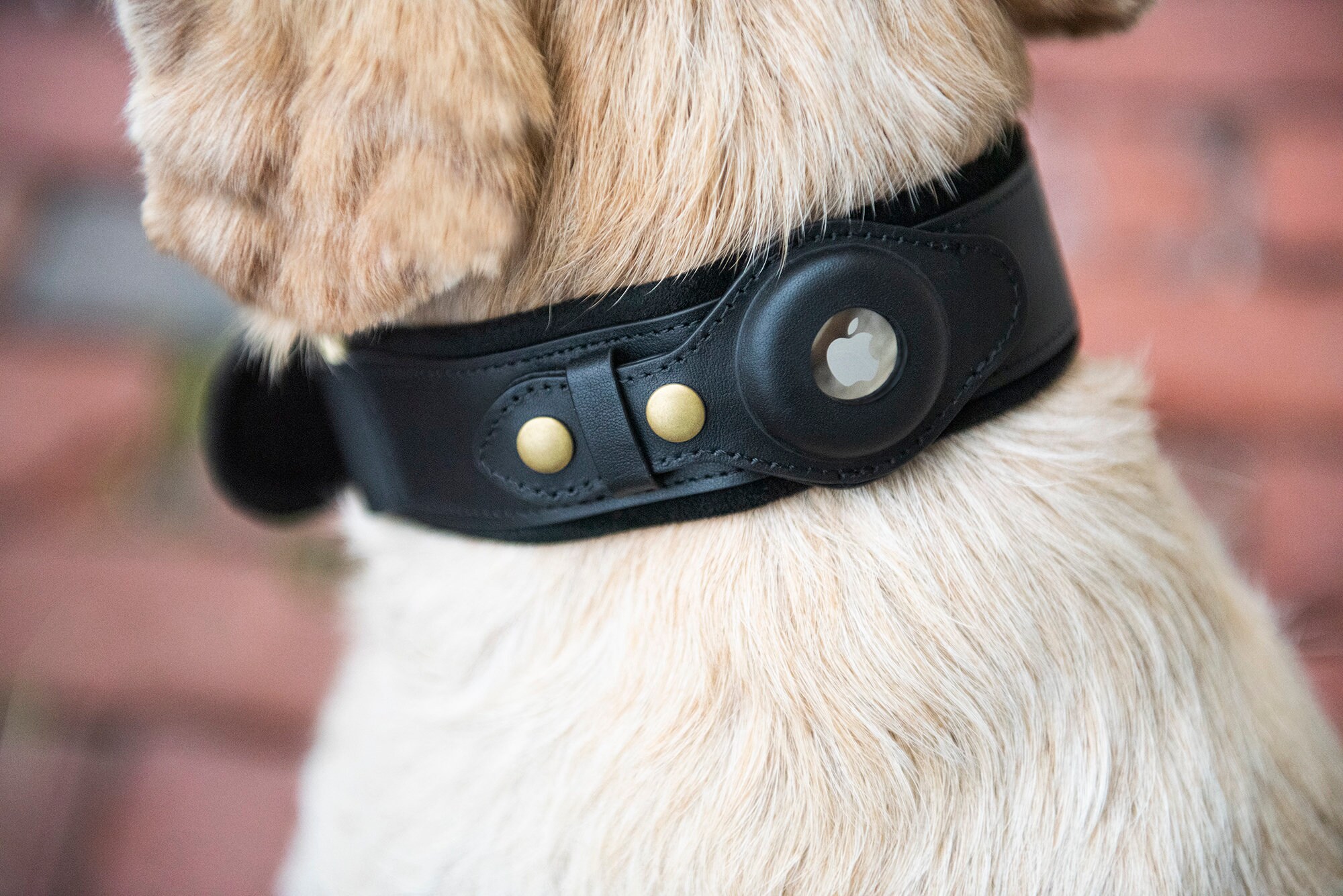 Collar de perro Apple AirTag personalizable de Nine Twenty Eight™ Opciones  de cuero, cuero sintético y collar premium disponibles para perros y gatos  -  España