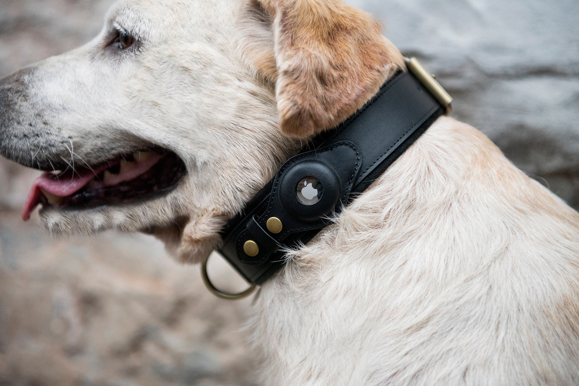 Personalizable Apple Airtag Dog Collar by Nine Twenty Eight™ Etsy Canada