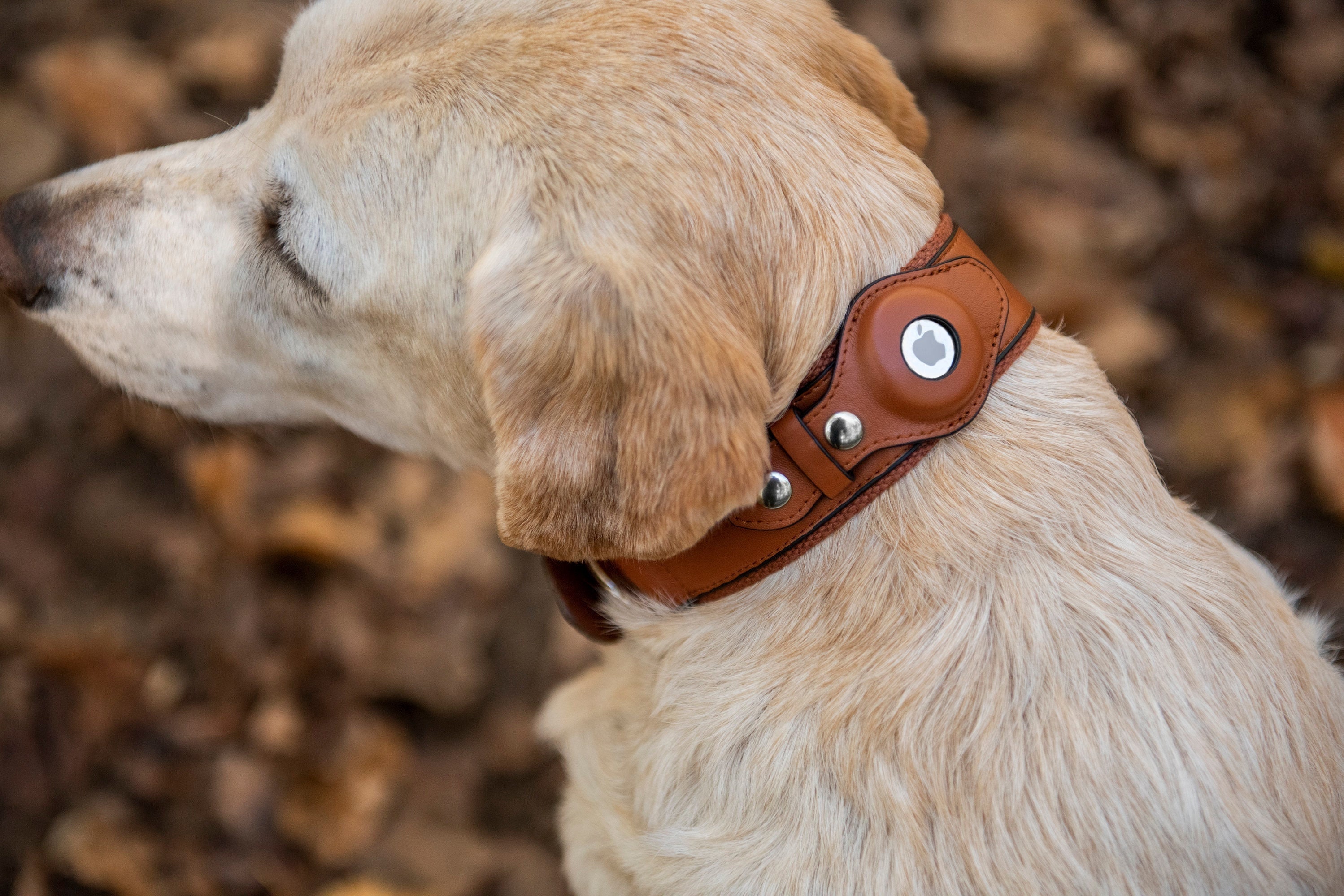 Personalizable Faux Leather Apple Airtag Dog Collar by Nine Etsy