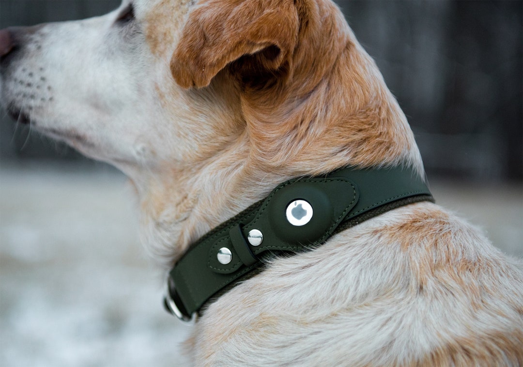 Collier pour chien en cuir avec AirTag Holder Heavy Duty Premium