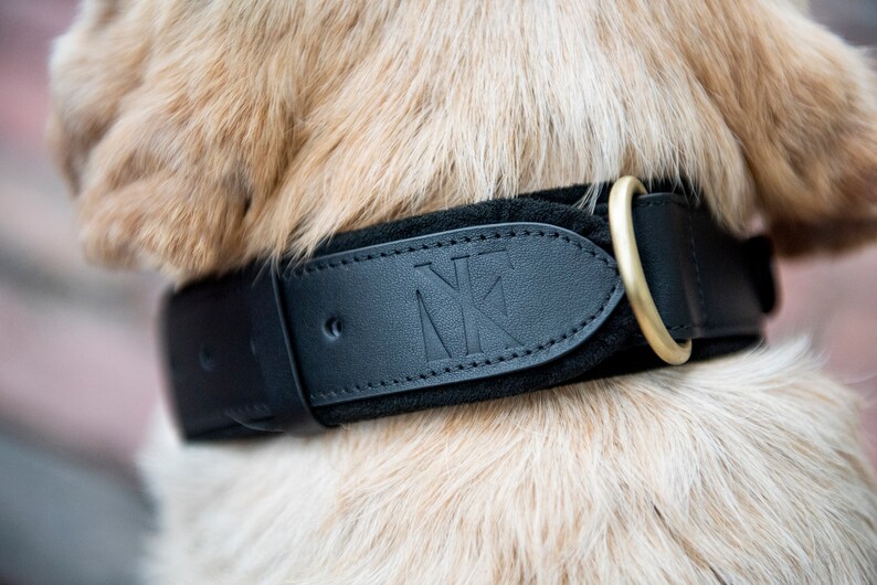 Personalizable Apple Air Tag Dog Collar by Nine Twenty Eight Etsy Australia