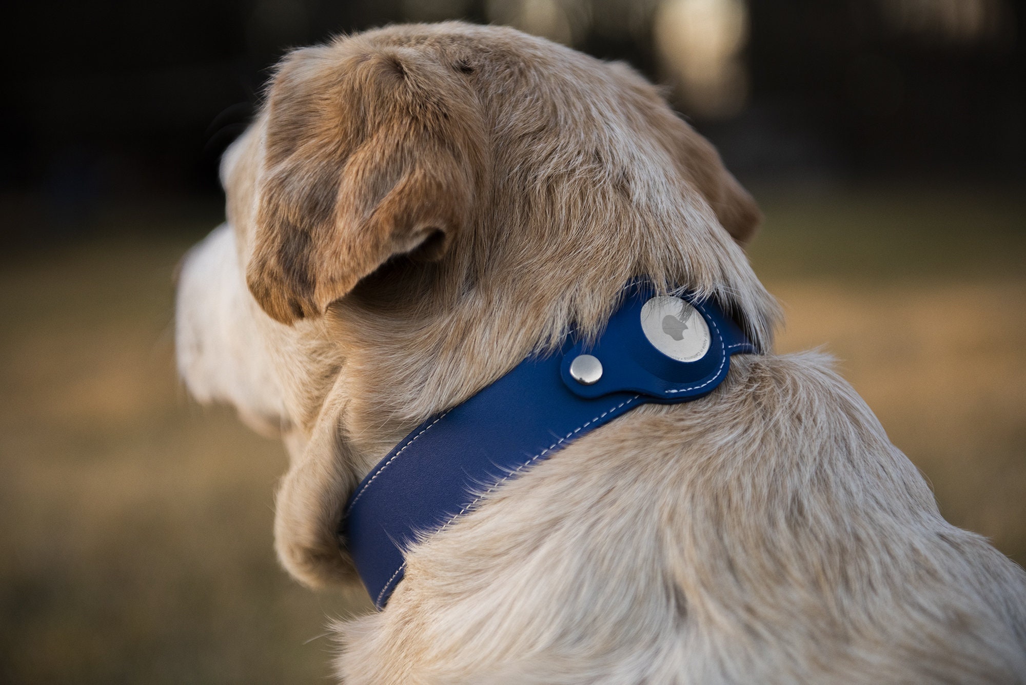 Collar para perro Apple AirTag de piel sintética personalizable de Nine  Twenty Eight™ Opción de cuero, piel sintética y collar premium disponible  para mascotas -  México