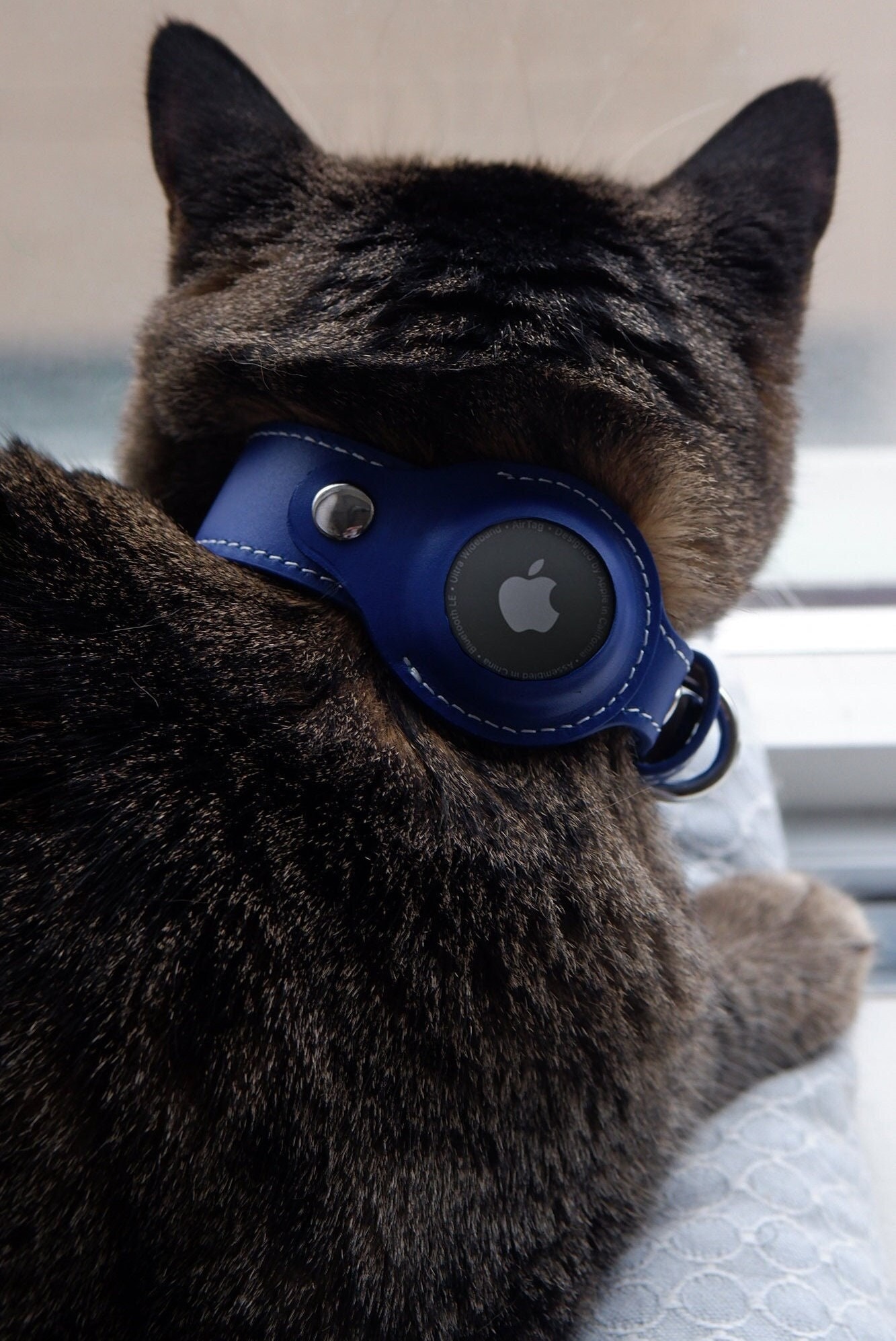 Collier pour chat Apple AirTag en cuir de qualité supérieure