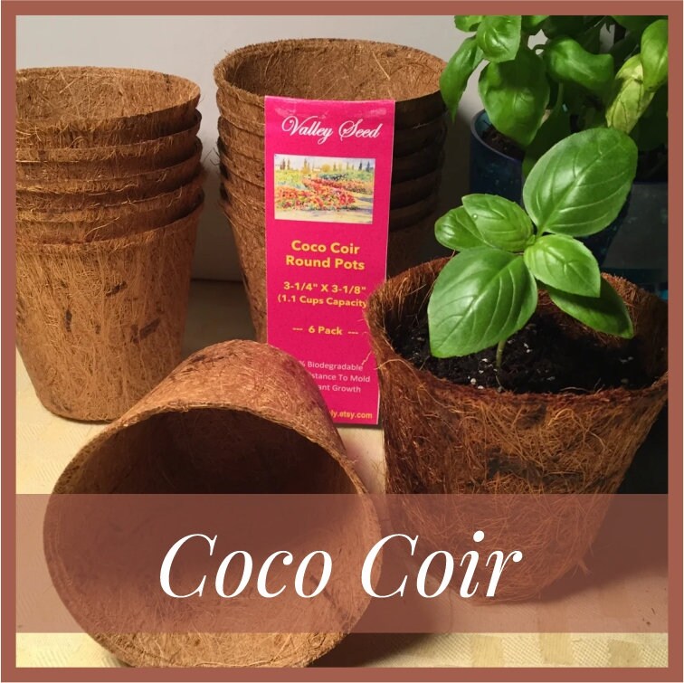 Premium Coco Coir Brick - 10 Pound / 4.5KG Coconut Coir - 100% Organic and  Eco-Friendly - OMRI Listed - Natural Compressed Growing Medium - Potting