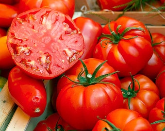 Tomato Seeds (BeefSteak) - Heirloom, Organic, non-GMO, Great For Salads and Sandwiches