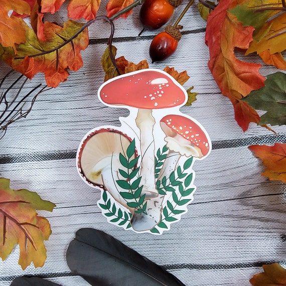 Champignon autocollant