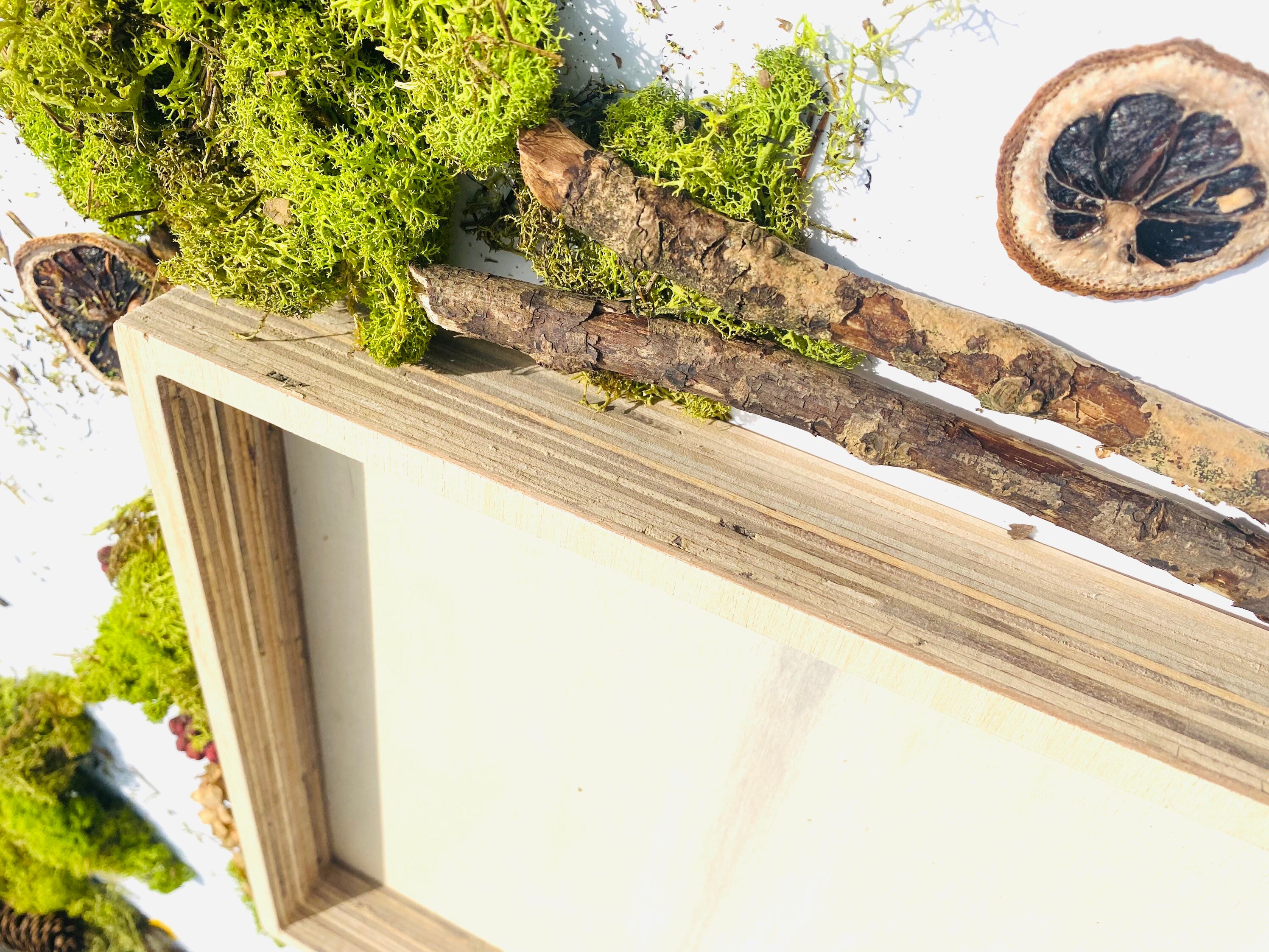 30110cm Tray Frame/ Moss Art Frames/ Square Table Top/ Large Square