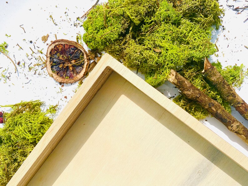 30110cm Tray Frame/ Moss Art Frames/ Square Table Top/ Large Square