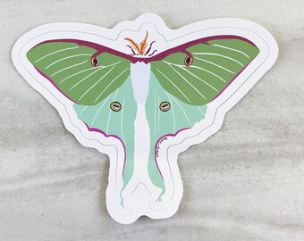 Luna Moth Sticker Vinyl Bumper Sticker