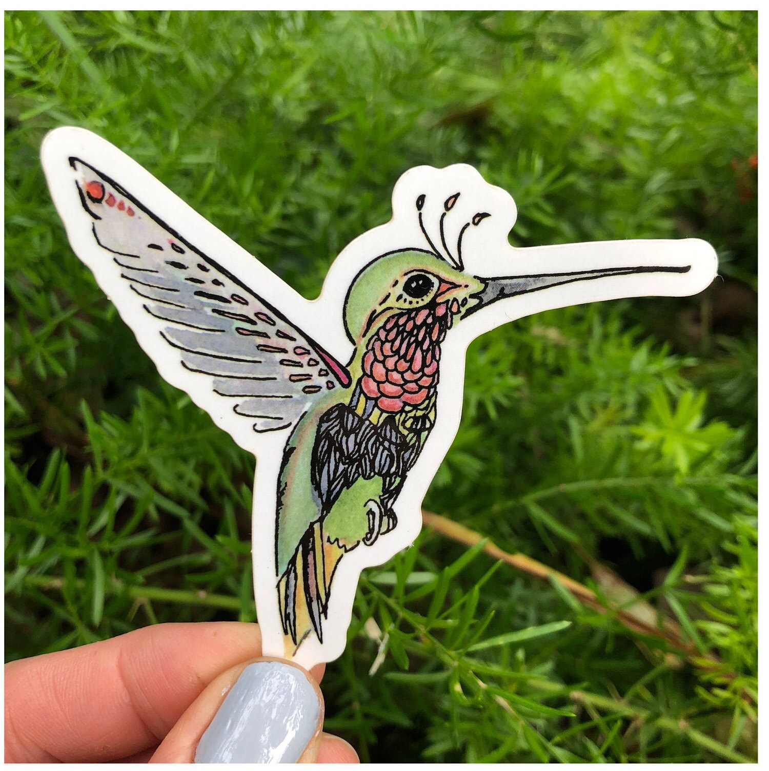 Hummingbird Sticker - Etsy