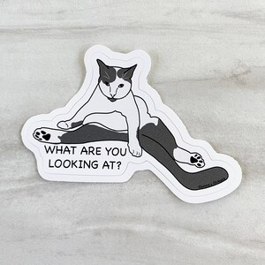 What are you looking at? Cat Sticker