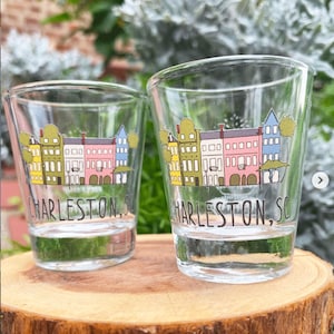 Charleston Rainbow Row Shot Glass