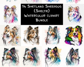 Watercolor Shetland Sheepdog Sheltie Clipart, 14 High Quality PNGs, Dog Clipart, Card Making, POD use, Digital Download for Commercial Use