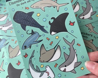 Sharks and rays family elasmobrachii sticker sheet