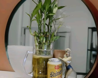 5 Stalk Lucky Bamboo Plant: 6 Inch Rooted Feng Shui Gift