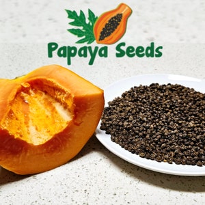 100 Papaya Seeds FREE 10 more Seeds,  Proven Sweet, Healthy, Carica, Papaya Smoothie, Discover the Many Benefits of Papaya