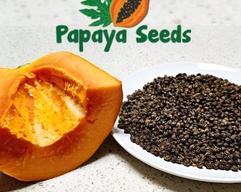100+ Papaya Seeds: Proven Sweet Carica Variety