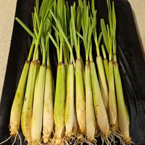 May include: A set of three ceramic mugs with a speckled, matte finish. The mugs are in shades of cream, light gray, and dark gray. Each mug has a simple, minimalist design, perfect for coffee or tea.