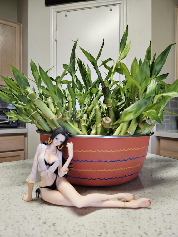 artificial snake plant uk Artificial Snake Plant In Ceramic Pot main image 0
