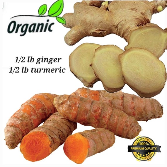 Turmeric Roots Ginger Roots 8oz Each, Organic, Plant, Juice
