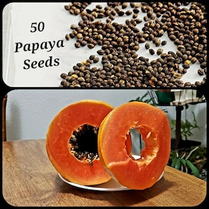 50 Papaya Seeds (plus 15 FREE), Proven Sweet, Healthy, Carica, Papaya Smoothie, Discover the Many Benefits of Papaya, Free Shipping